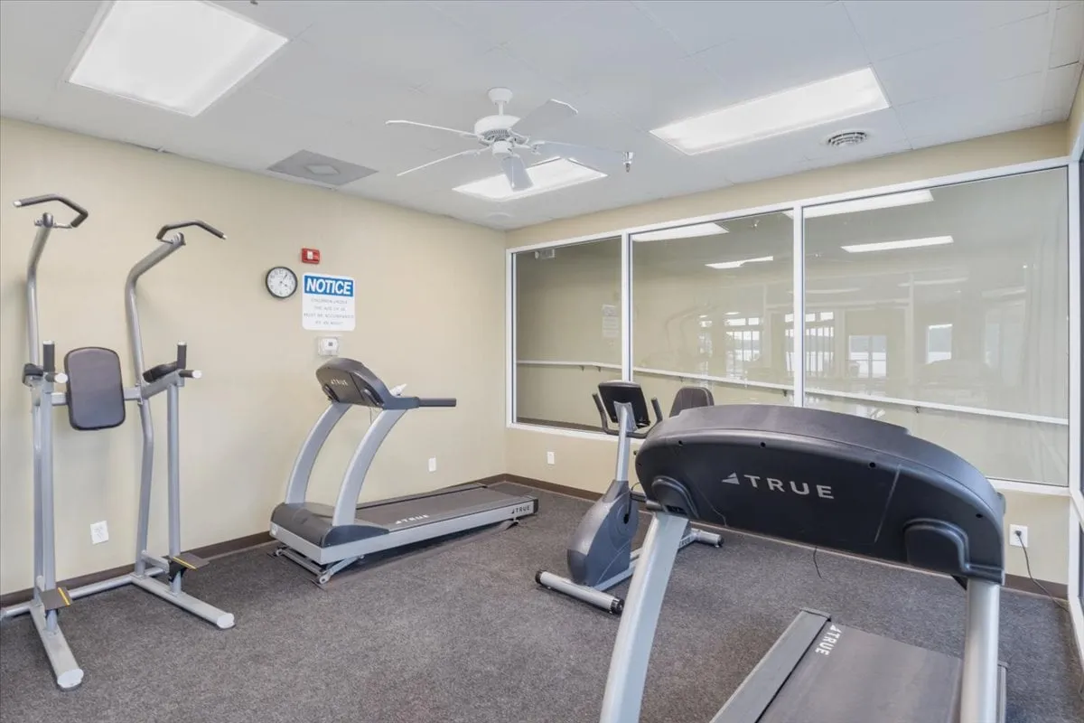 A modern fitness center equipped with treadmills and elliptical machines, set against large windows that allow in plenty of natural light. The space feels motivational and active, encouraging guests to maintain their routines or try new workouts while on vacation.